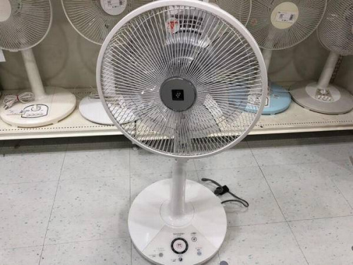 季節家電の扇風機