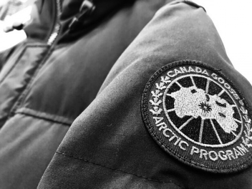 メンズファッションのCANADA GOOSE