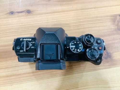 ミラーレスカメラのミラーレス一眼カメラ