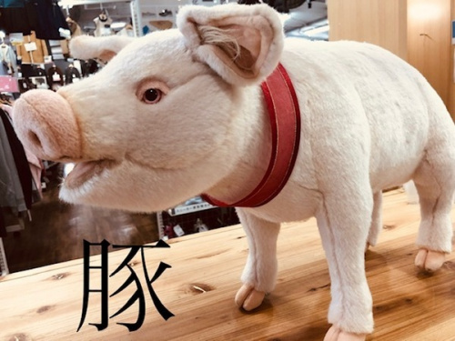 雑貨の豚 横浜