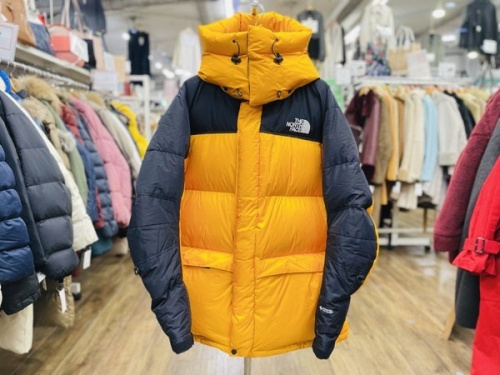 レディースファッションのTHE NORTH FACE