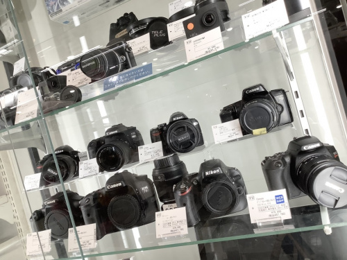 22年01月31日：画像７