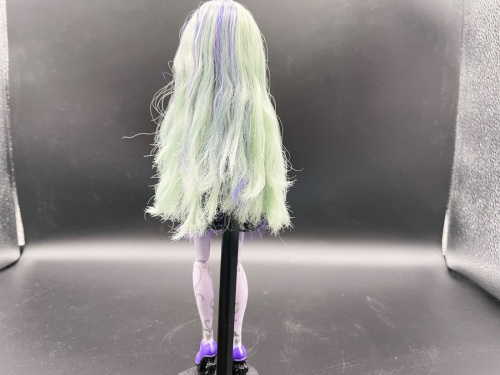 ドールのMONSTER HIGH