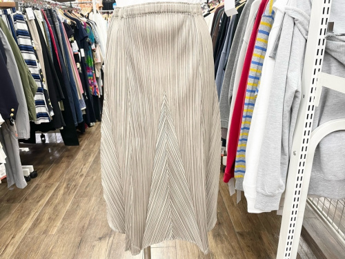 プリーツスカートのPLEATS PLEASE