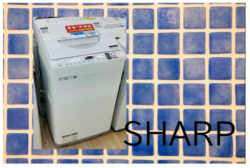 冷蔵庫の洗濯機