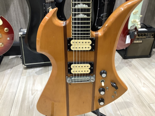 Aria Pro ⅱの寝屋川