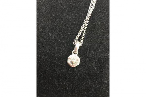 アクセサリーのネックレス