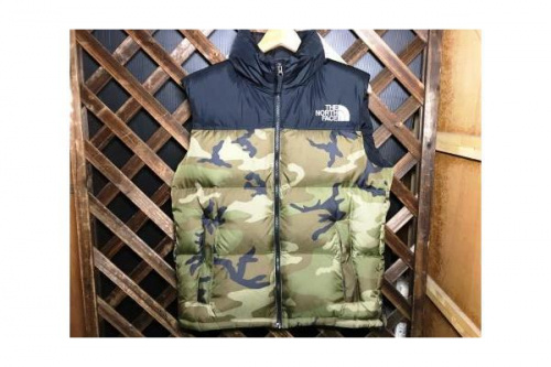 ベストのthe north face