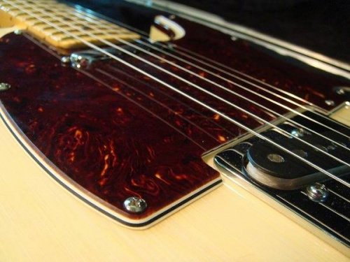 大宮新入荷情報のFENDER