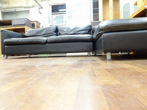 大宮新入荷の国道17号