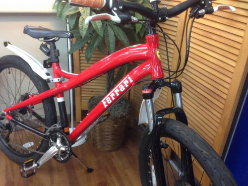 アウトドアの自転車