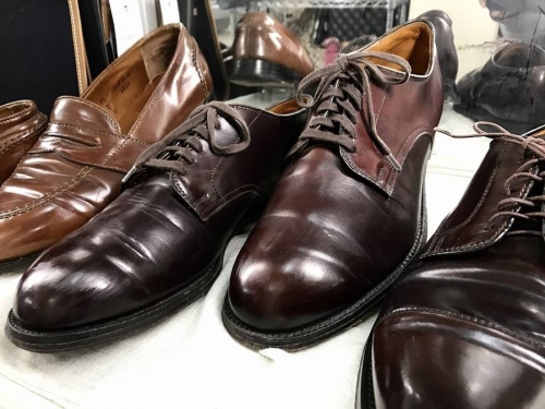 ALDENの大宮店新入荷