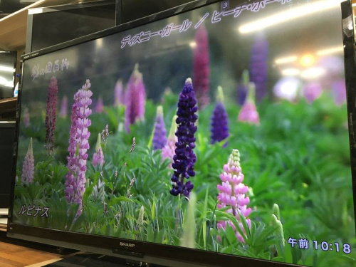 デジタル家電のテレビ