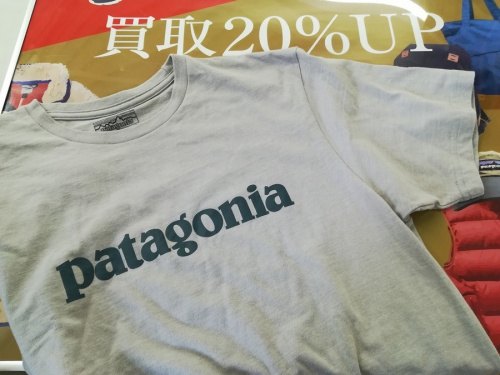 レディースファッションのPatagonia
