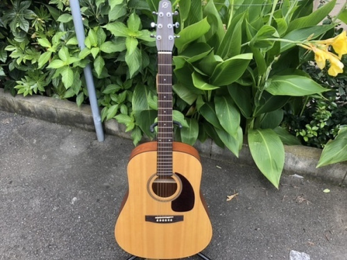 ギターのアコースティックギター