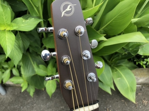 アコースティックギターのSEAGULL