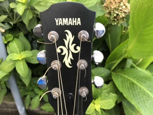 エレキアコースティックギターのYAMAHA