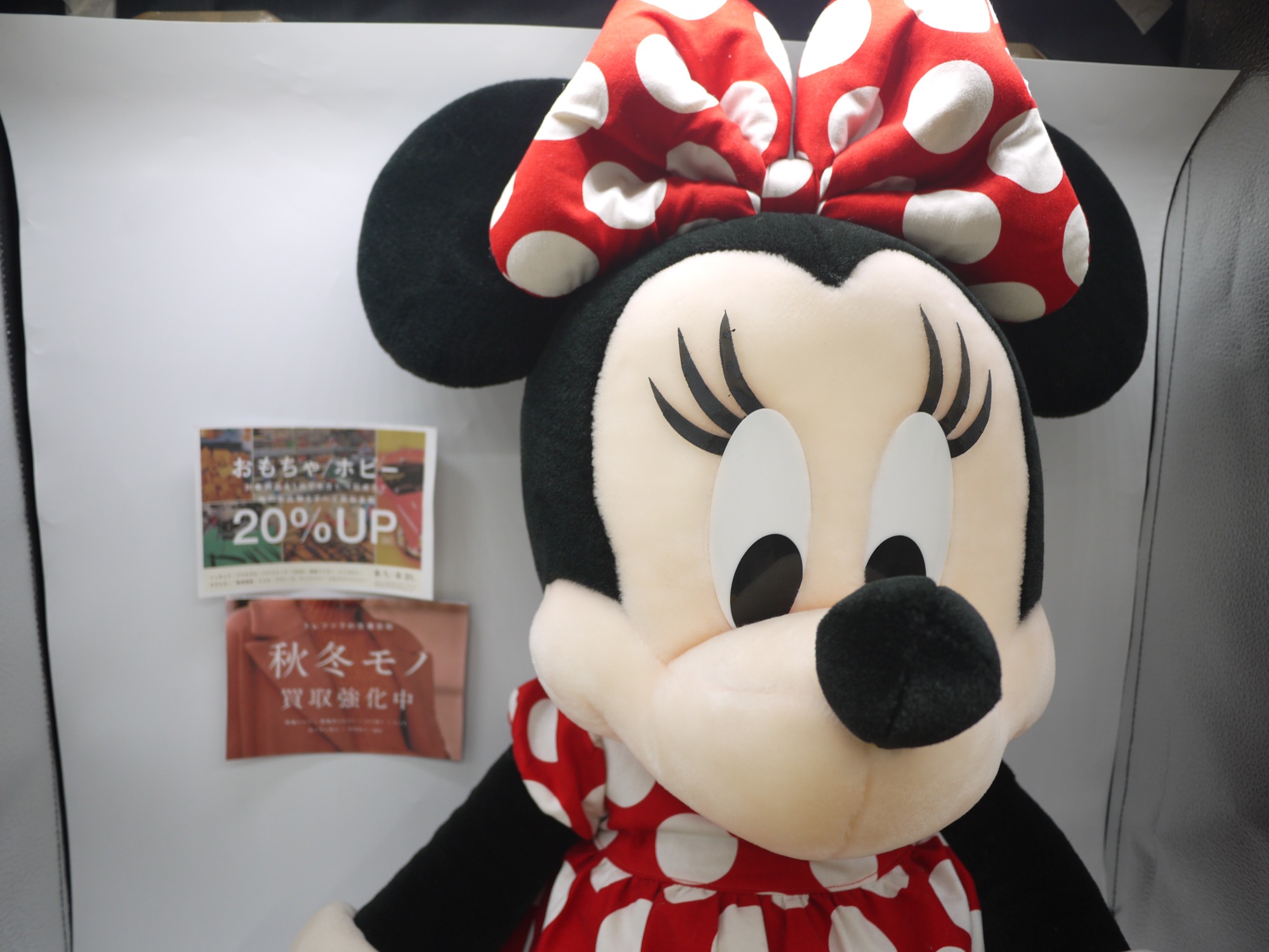 特大サイズも登場！東京ディズニーランド｢ミッキー＆ミニー