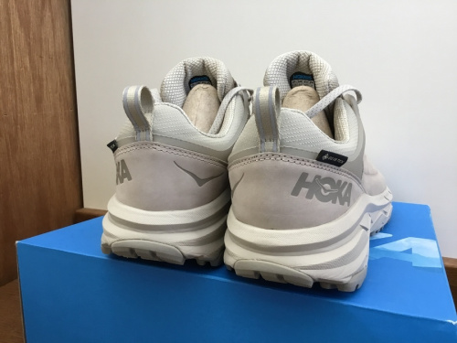 CHALLENGER LOW GTX WIDEのHOKAONEONE