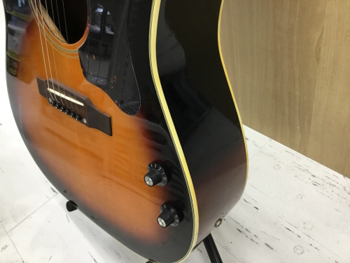 郡山のエレアコギター