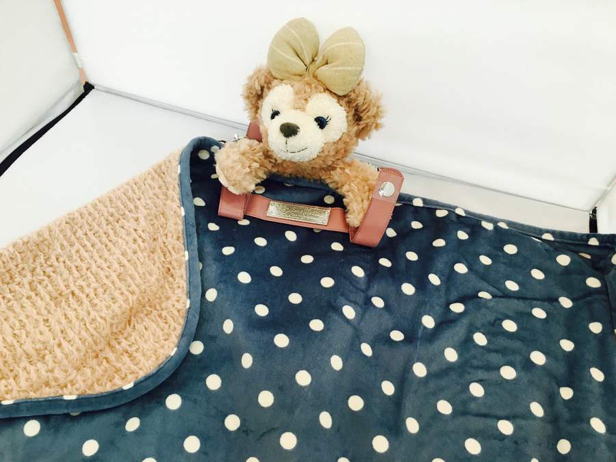 ダッフィー&シェリーメイのひざ掛けブランケットが入荷しました