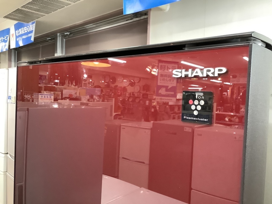 人気カラー】高年式国内メーカー！SHARP(シャープ)の3ドア冷蔵庫