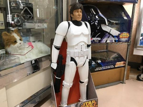 トレファクブログ画像５