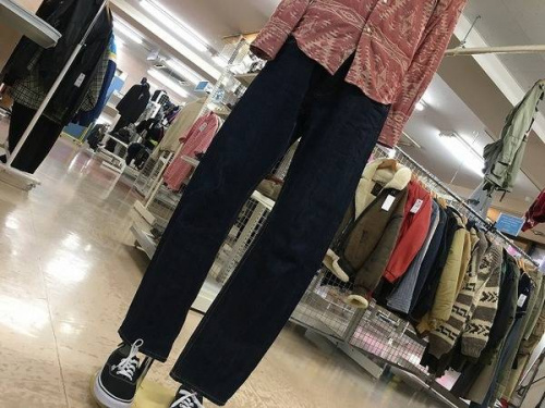 ACEGENE