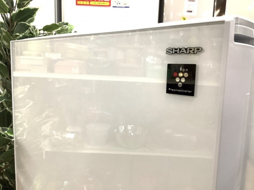 冷蔵庫　中古のSHARP