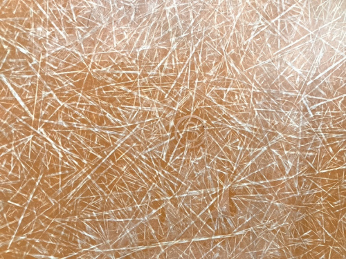 20年09月03日：画像８