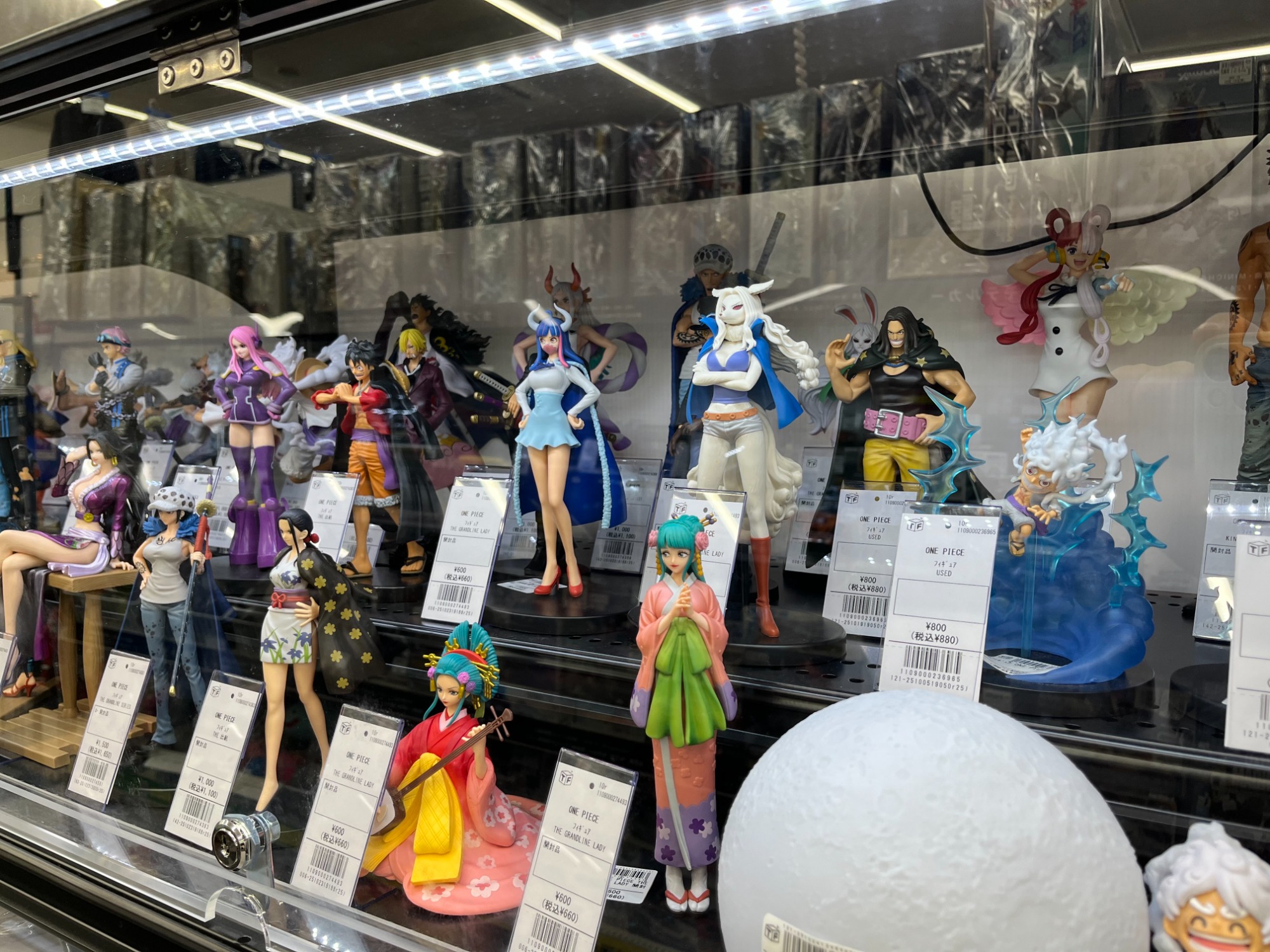 ONE PIECEのフィギュアが大量入荷しました！｜2025年10月30日