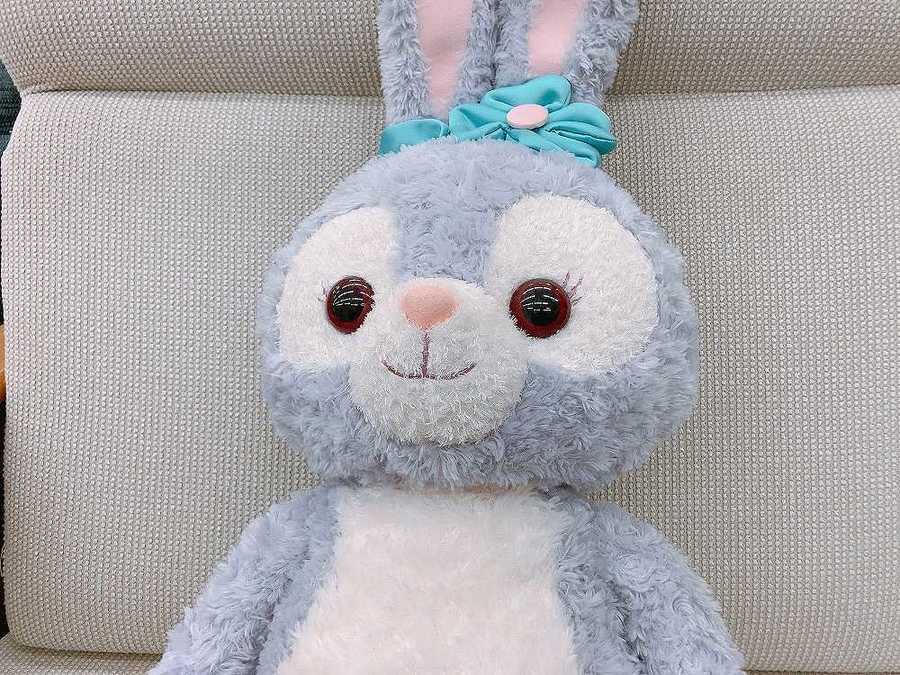 Disney ジェラトーニ＆ステラルー ぬいぐるみ Mサイズ ペア