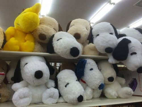 楽器・ホビー雑貨のSNOOPY
