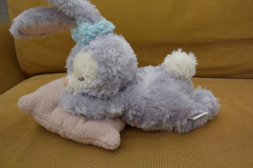 ステラ・ルーの千葉