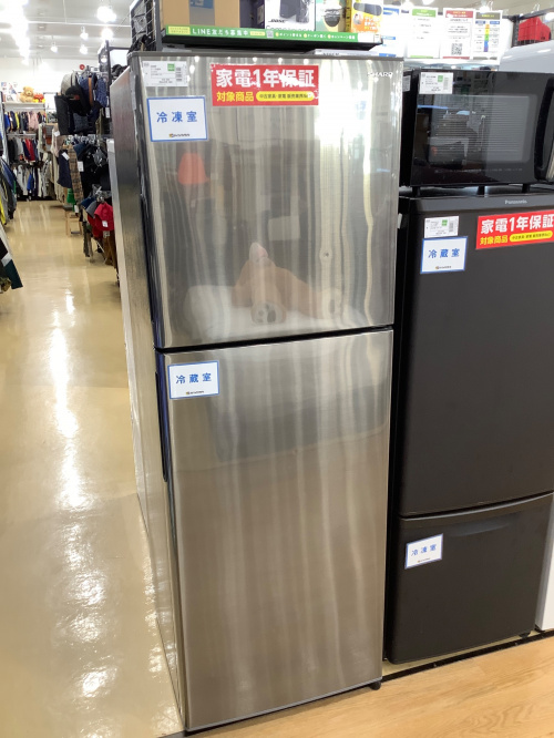 トレファクブログ画像2