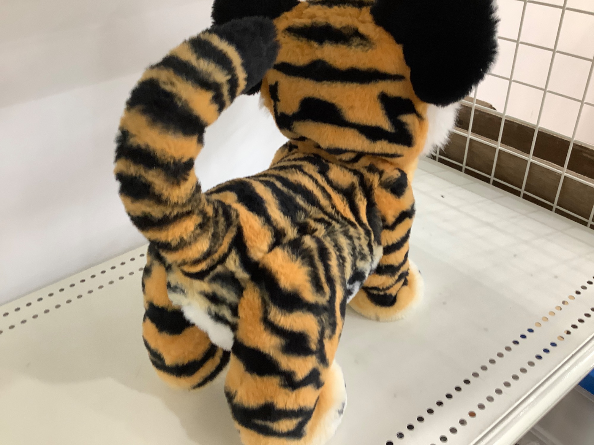 ファーリアル ロアーリング タイラー ファーリアル ロアーリングタイラーが入荷いたしました！｜2023