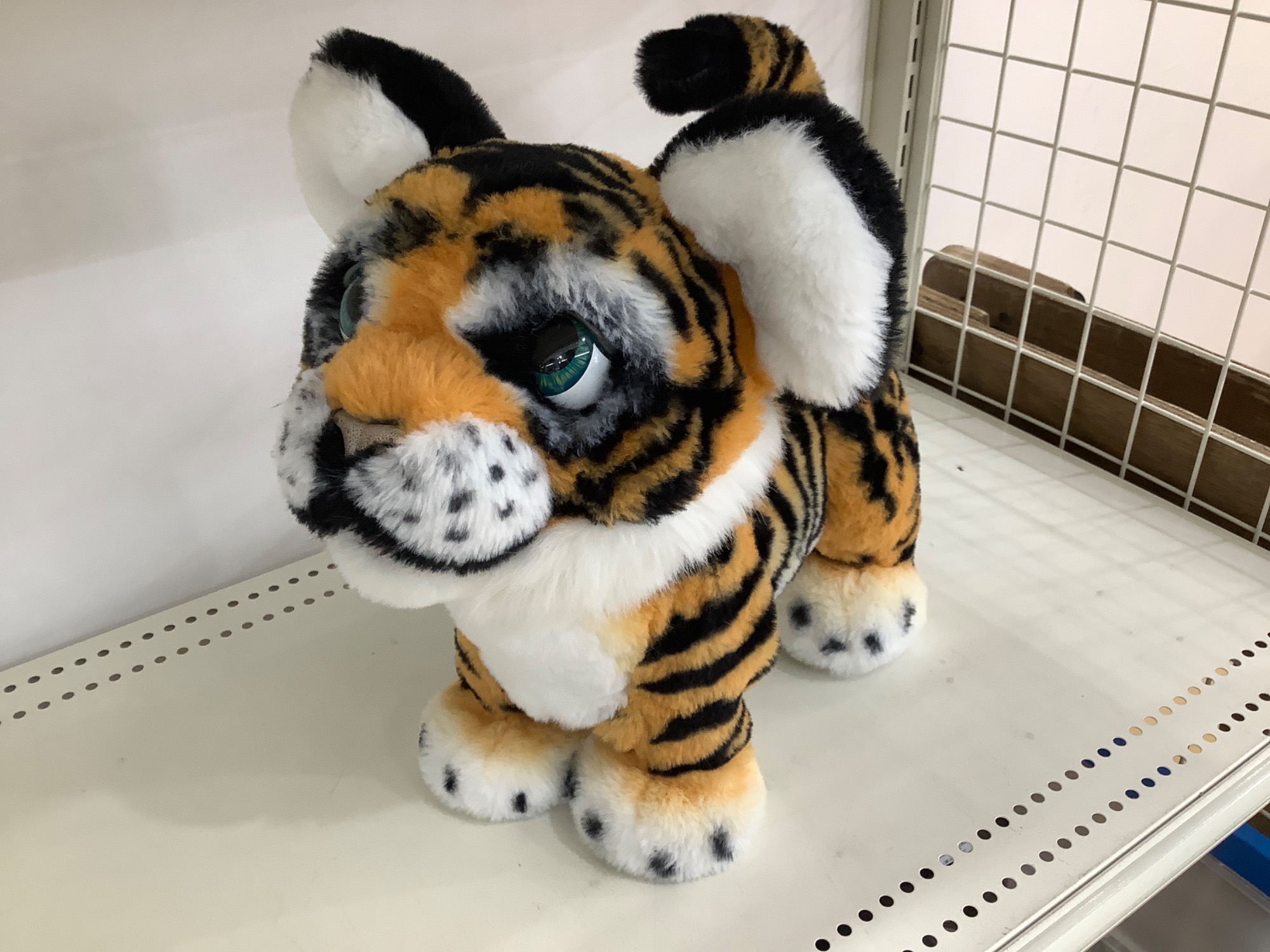 ファーリアル ロアーリング タイラー ファーリアル ロアーリングタイラーが入荷いたしました！｜2023