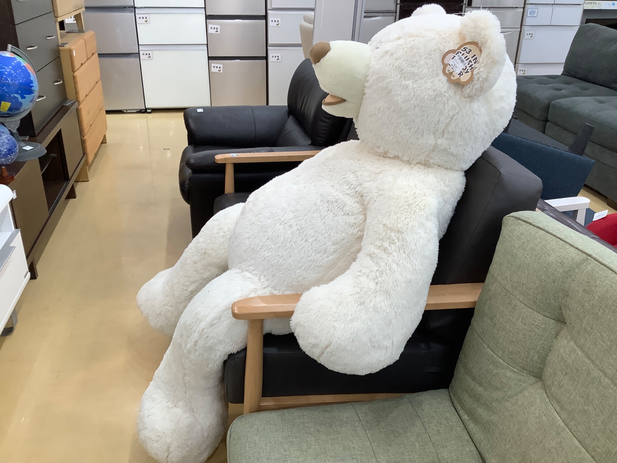 コストコのしろくまヌイグルミを入荷いたしました！｜2024年01月19日