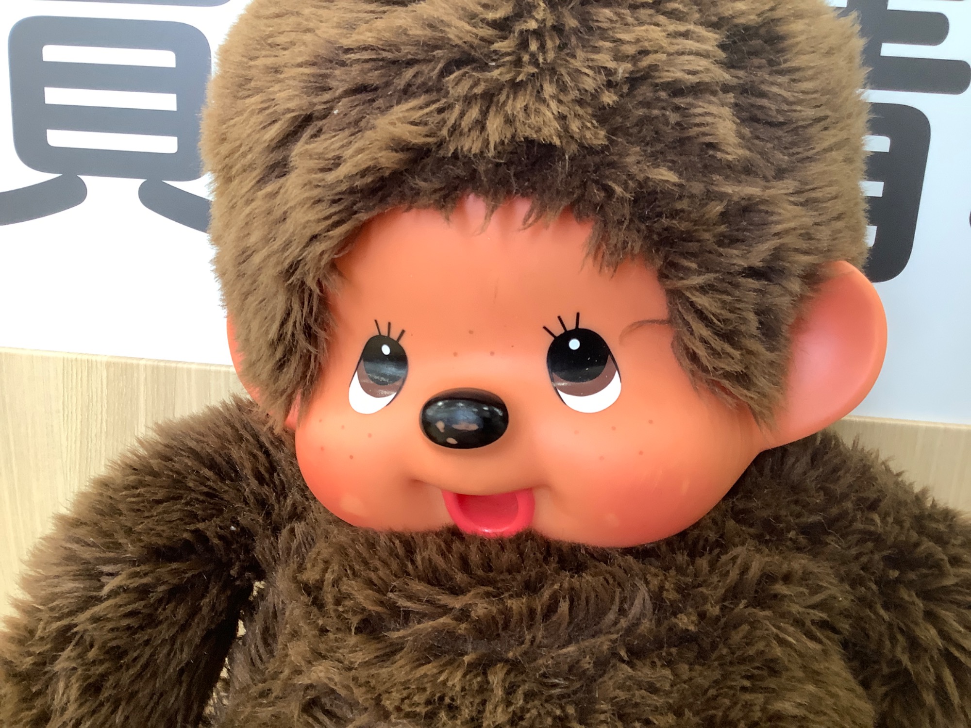 sekiguchi (セキグチ)モンチッチ入荷いたしました！｜2025年07月