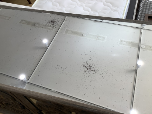 アスプルンドの本庄