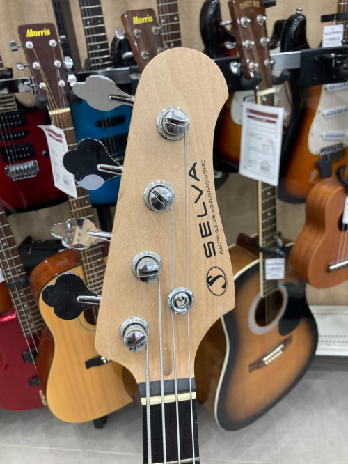 EPIPHONE(エピフォン)のエレキギター、 Selva(セルバ)のエレキベースを