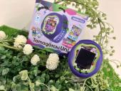 トレファクハローパーク周船寺店ブログ