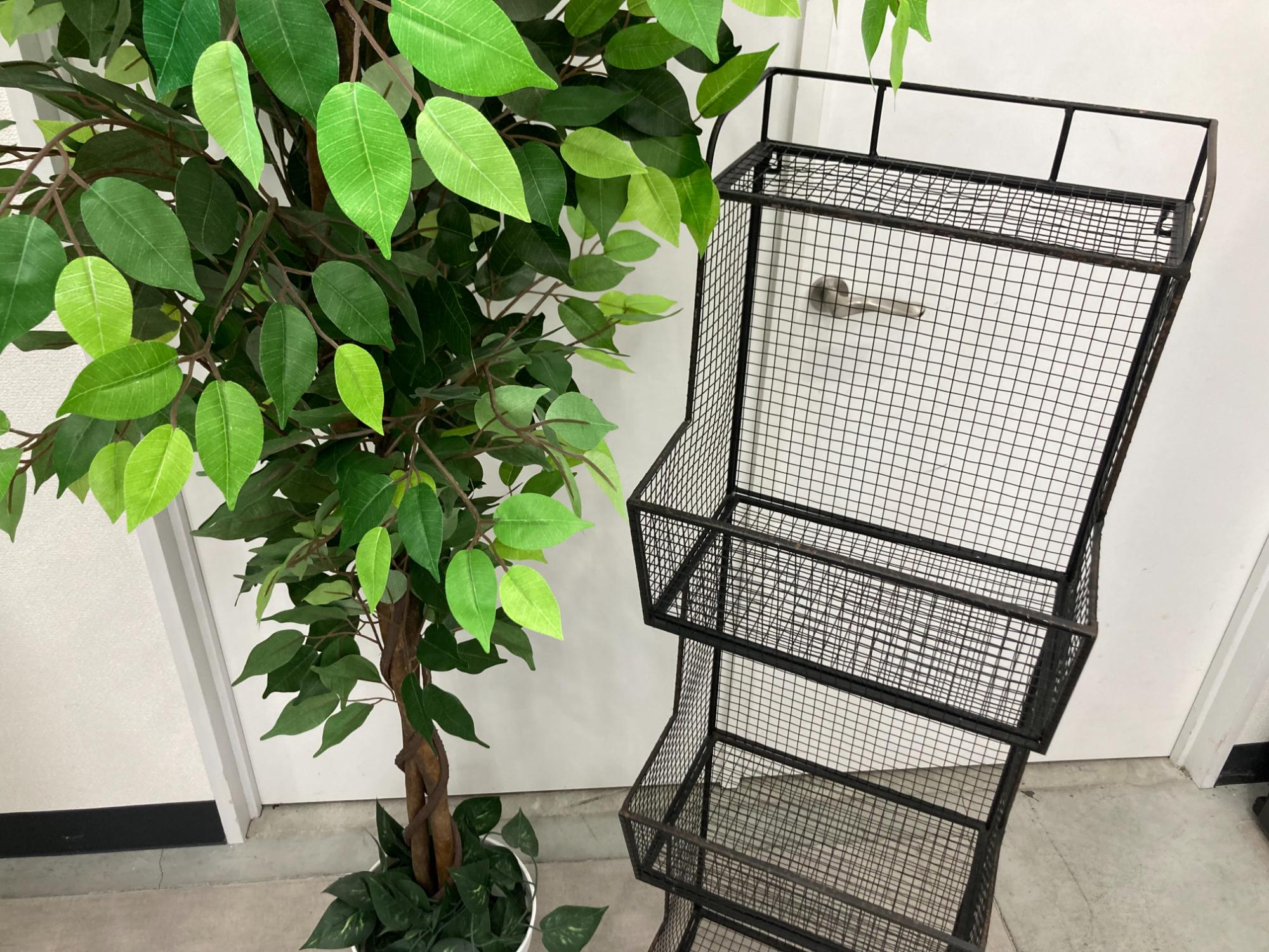 DULTON(ダルトン)のマガジンラックをご紹介いたします！！｜2026年01月