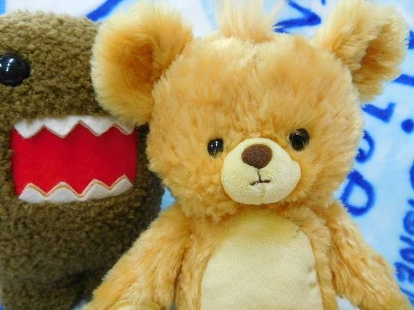 ◇新入荷◇ユニベアシティ◇スプラッシュ◇マックスのクマ