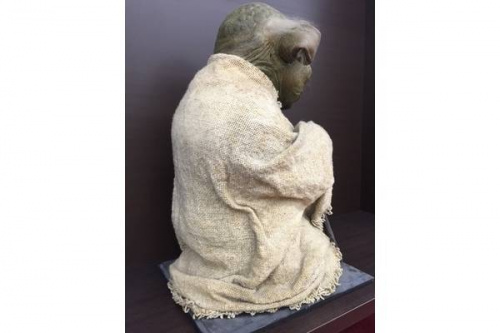 STAR WARS（スター・ウォーズ）の限定品