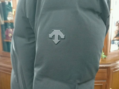 水沢ダウンのマウンテニア