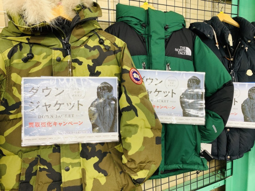 メンズファッションのレディスファッション