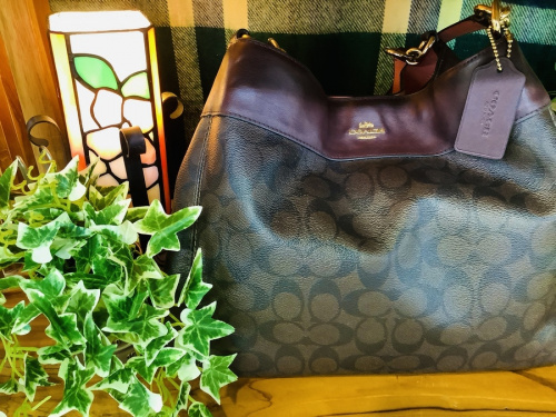 21年01月08日：画像８