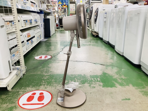 カモメファンのドウシシャ