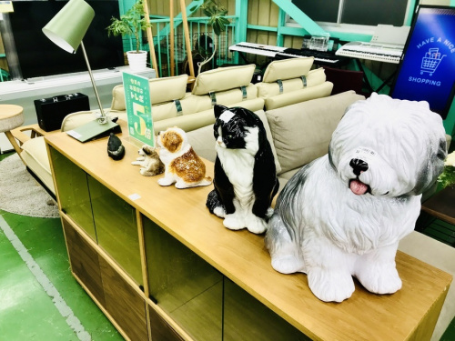 21年12月13日：画像７